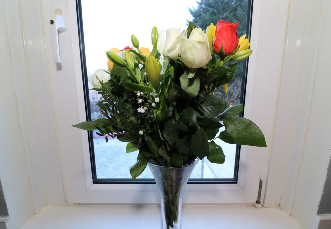 Apartment in Motherwell - Anderson View - Motherwell