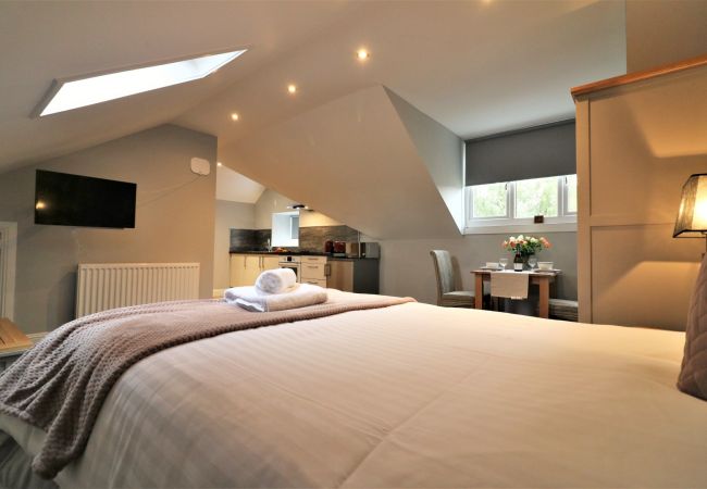 Apartment in Airdrie - Linden Cottage Room 3 - Airdrie Apartment in Airdrie - Linden Cottage Room 3 - Airdrie