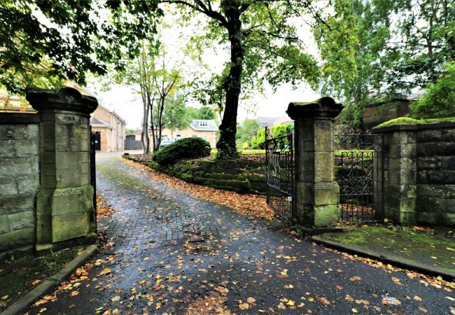 Apartment in Airdrie - Linden Cottage Room 4 - Airdrie Apartment in Airdrie - Linden Cottage Room 4 - Airdrie